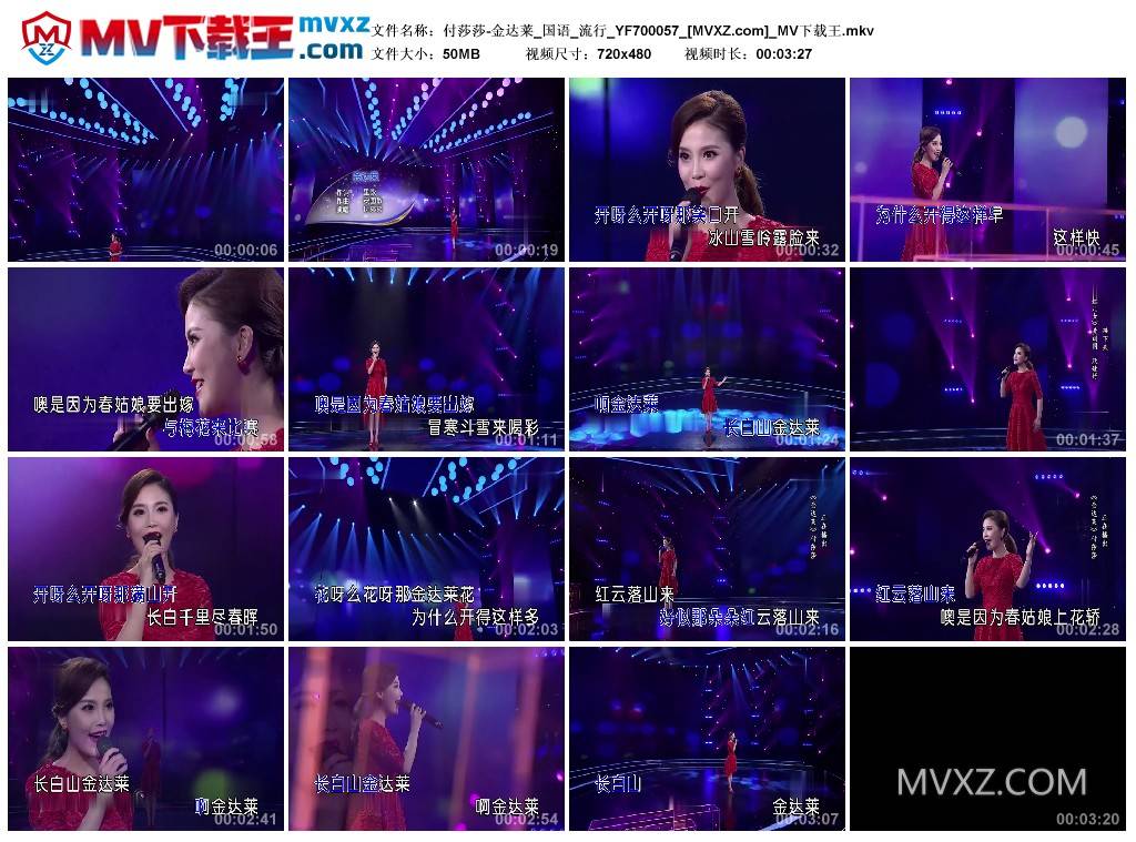 付莎莎-金达莱_国语_流行_YF700057